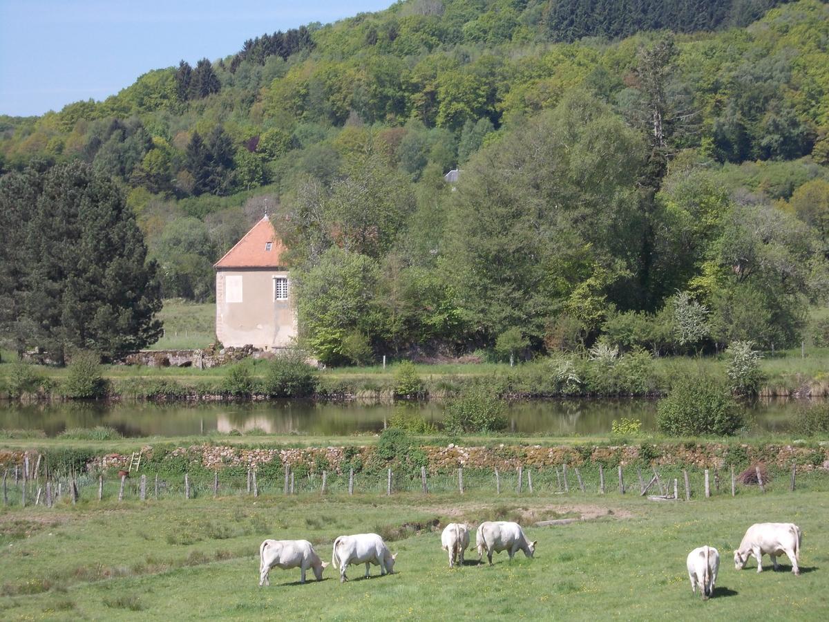 Alligny-en-Morvan Auberge Du Morvan מראה חיצוני תמונה